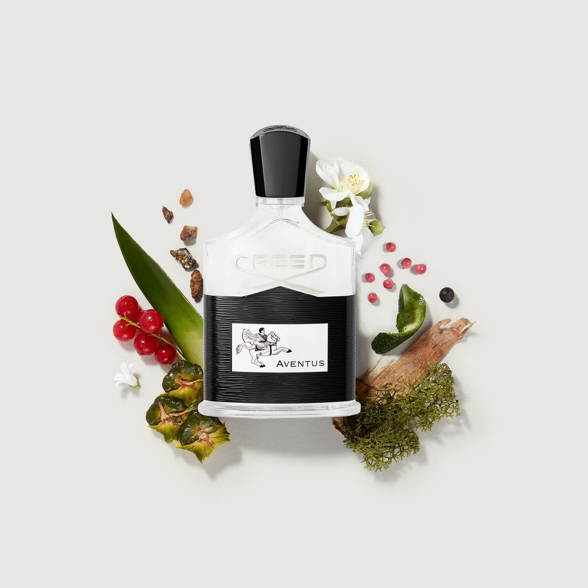 CREED EDP 100ML (H)
