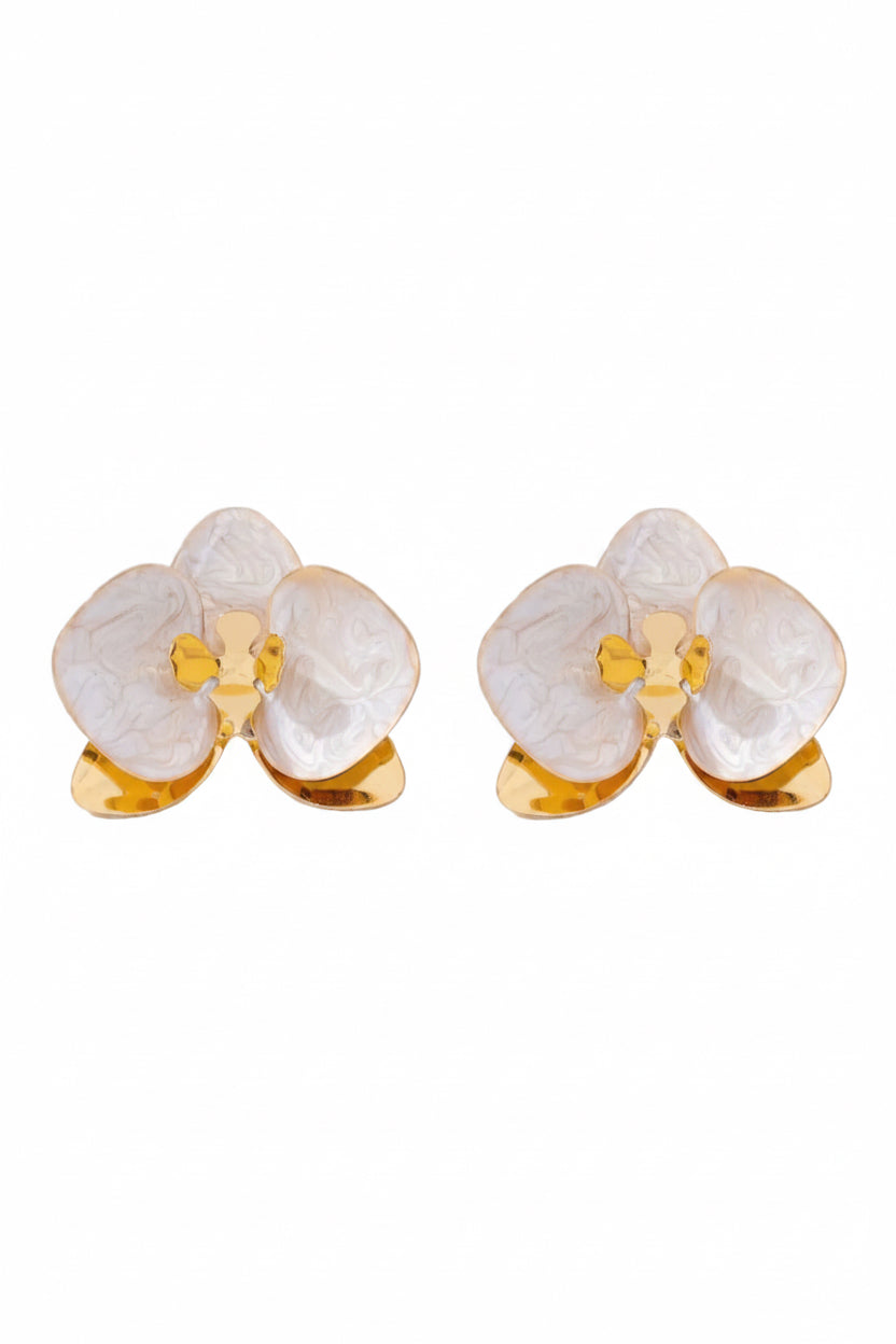 Orquídea