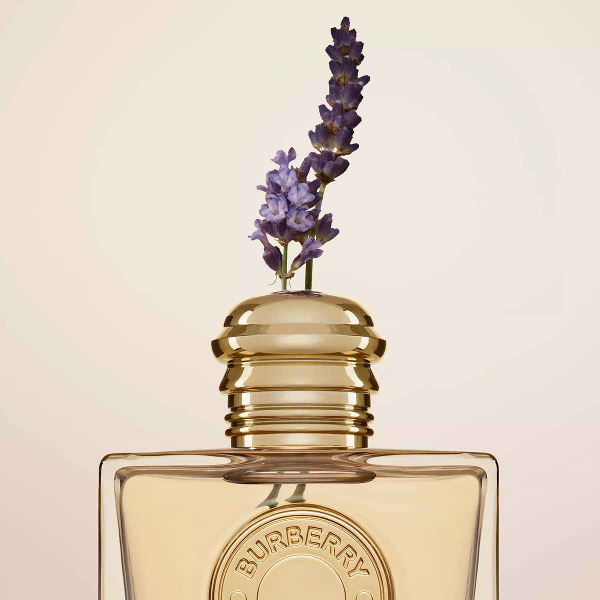 BURBERRY GODDESS EDP 100 ML (M)