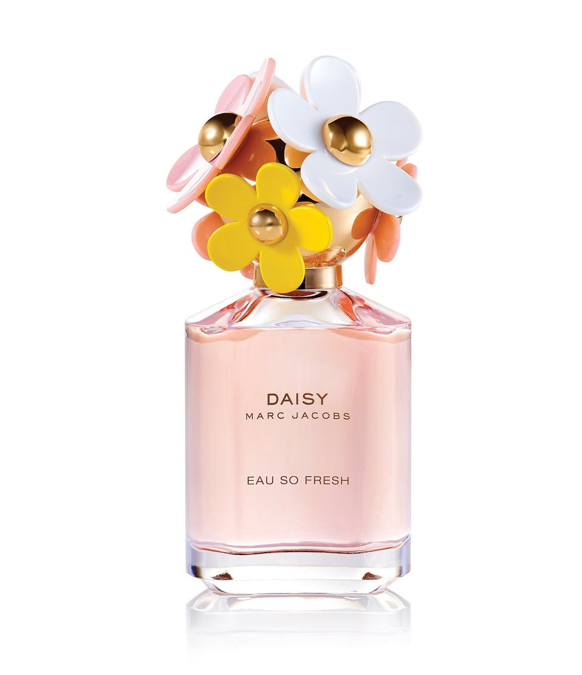 DAISY SO FRESH