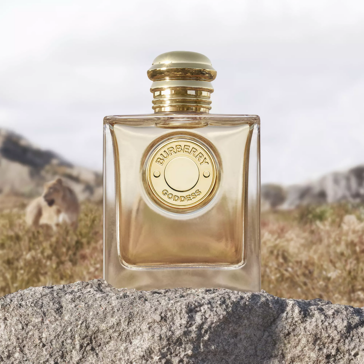 BURBERRY GODDESS EDP 100 ML (M)