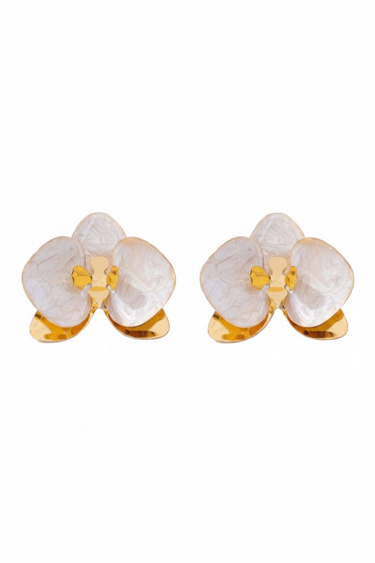 Orquídea