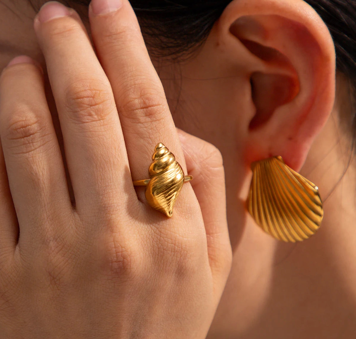 SEASHELL