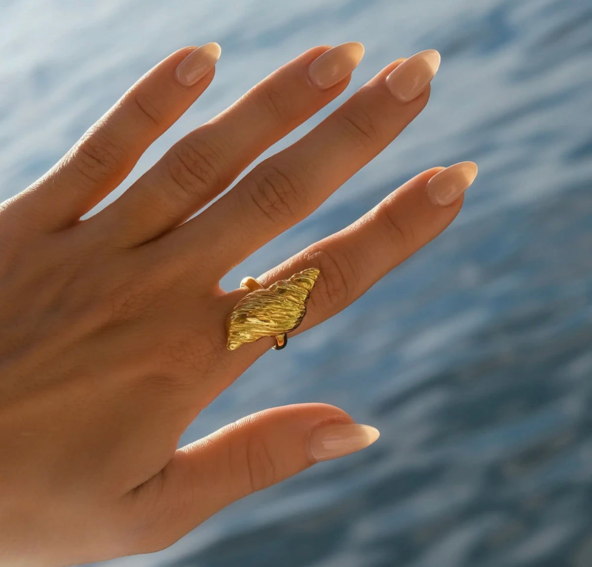 SEASHELL